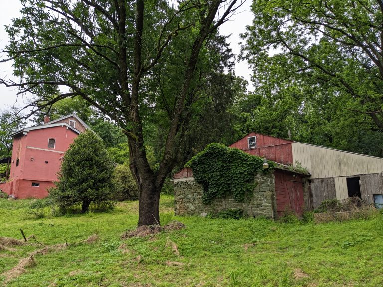 Abandoned House