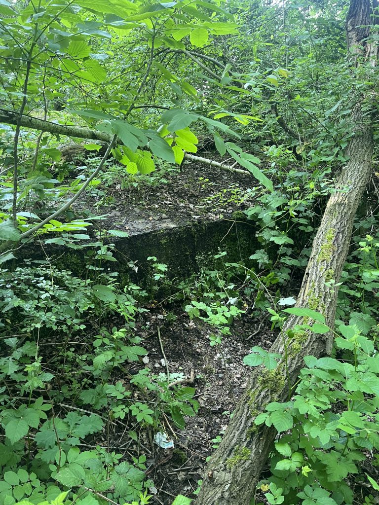 Bunker