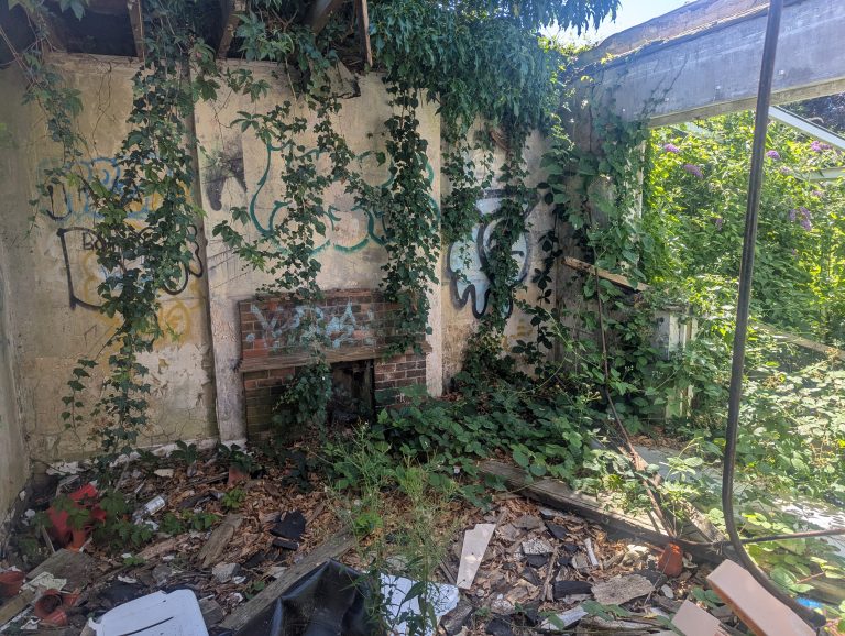 Saltdean plant nursery