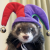 Profile photo of KeeperGamez