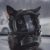 Profile picture of GuyHere
