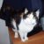 Profile photo of TEST