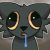 Profile photo of zen.z