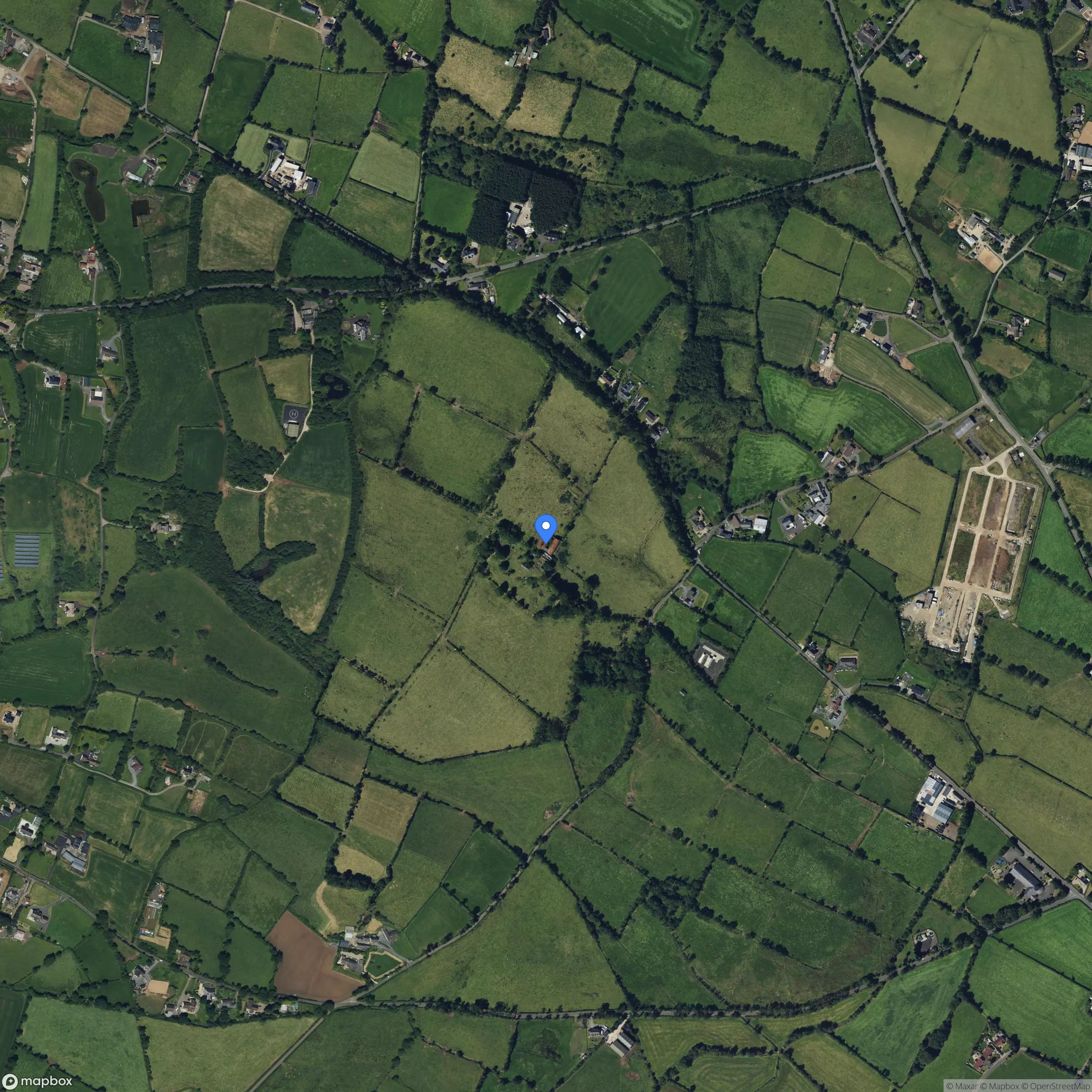 Pig Farm