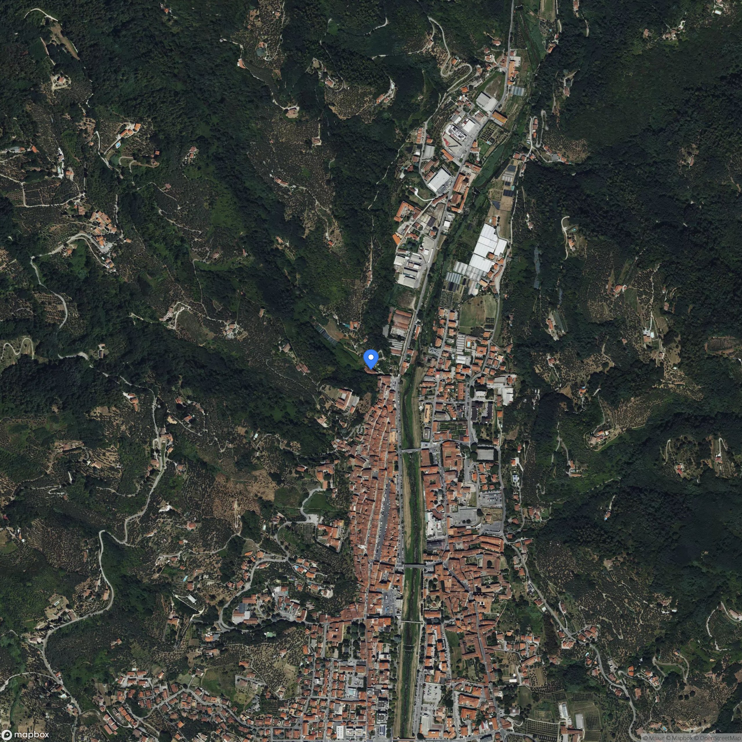 Pescia piazza