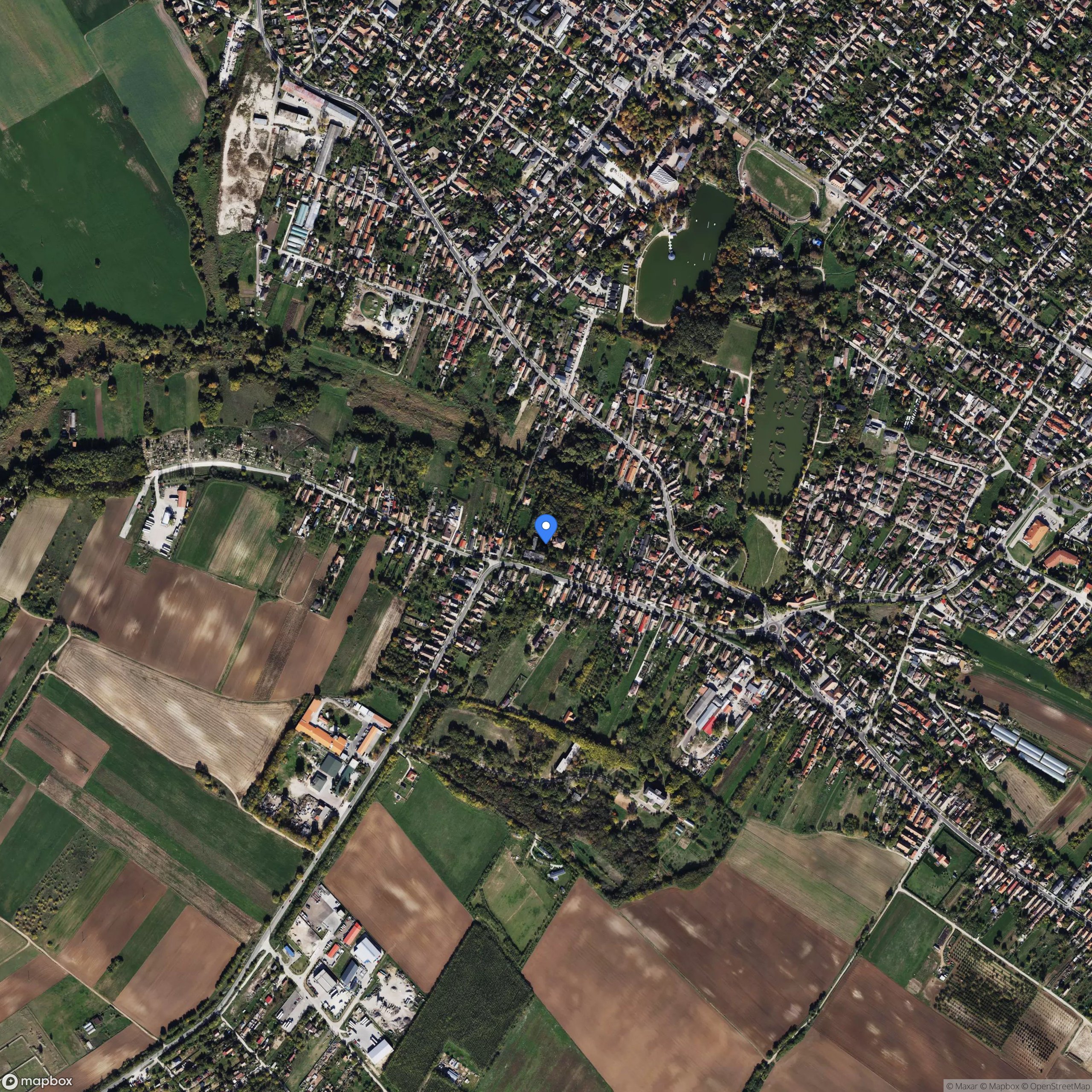 puky mansion and social home