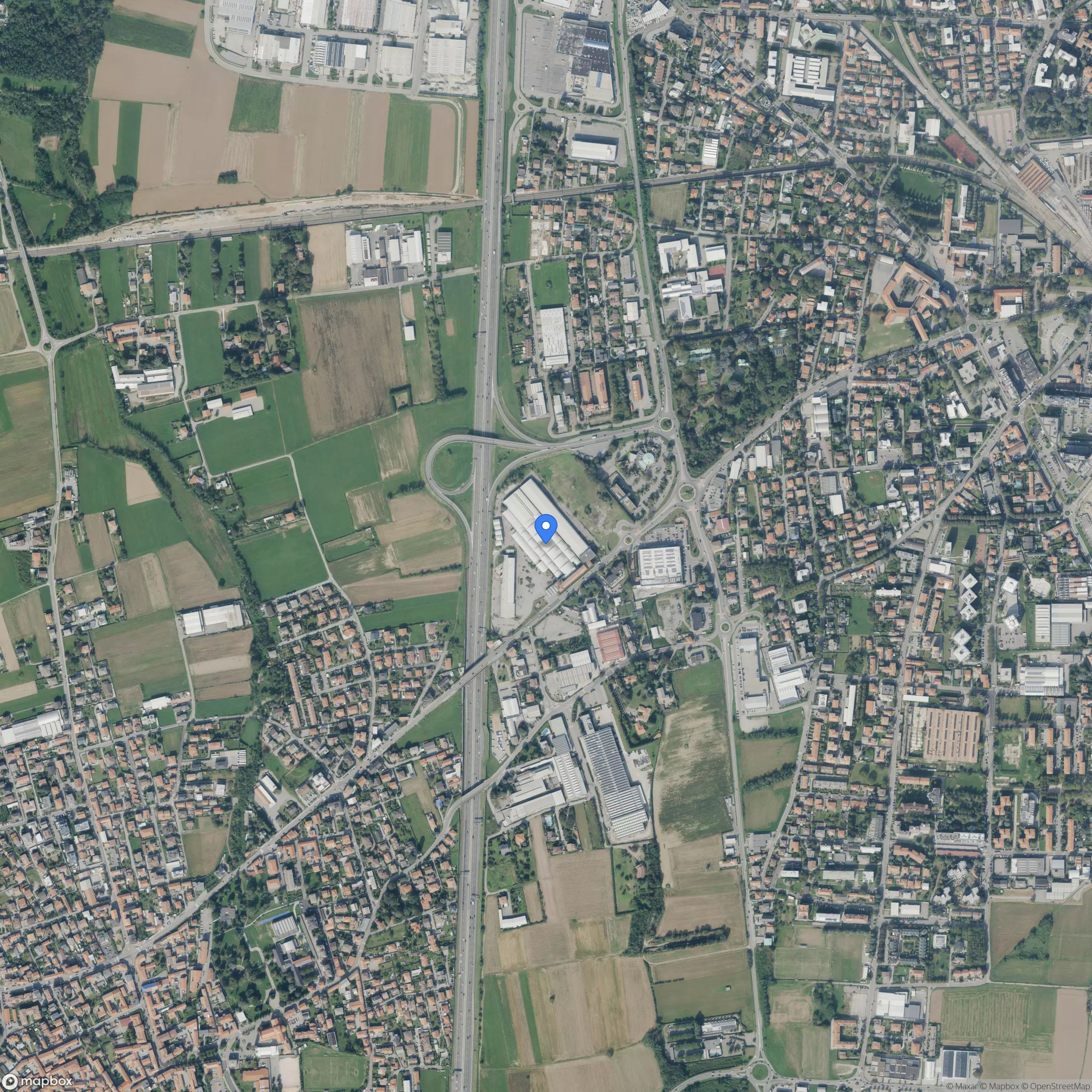 lazzaroni