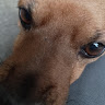 Profile picture of @snowy