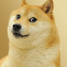 Profile picture of @legendarydoge