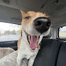 Profile picture of @goofy-goober