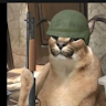 Profile picture of @rares-stoica
