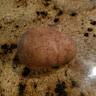 Profile picture of @mason-broker