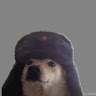 Profile picture of @juan-martin