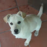 Profile picture of @artur