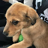 Profile photo of CrayonEater