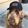 Profile photo of Cynix
