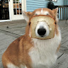 Profile picture of @hebxns
