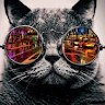 Profile picture of @remi-nulpar