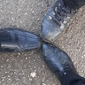 Profile picture of Dan