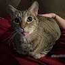 Profile photo of summa
