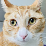 Profile photo of ctrl