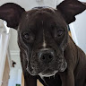 Profile photo of micah-campbell