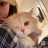 Profile photo of Eiker-Reyes-Eiker