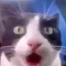 Profile picture of fearoftyrell