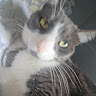 Profile photo of Cameron-Colon