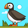 Profile photo of Pigg