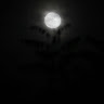 Profile photo of urbexkade