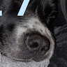 Profile picture of @jackson-moore
