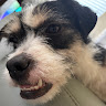 Profile picture of yurrrrr