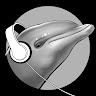 Profile picture of @mr-dolphin