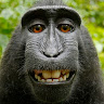 Profile picture of @jeremiah-finley