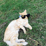Profile picture of @spencer-gallo