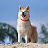 Profile picture of One