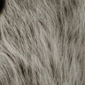 Profile picture of @grant-lindman