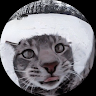 Profile picture of @weeeper