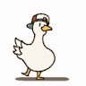 Profile picture of @jose-paulino