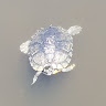 Profile picture of Owen-weyl