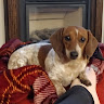 Profile picture of S_Conners