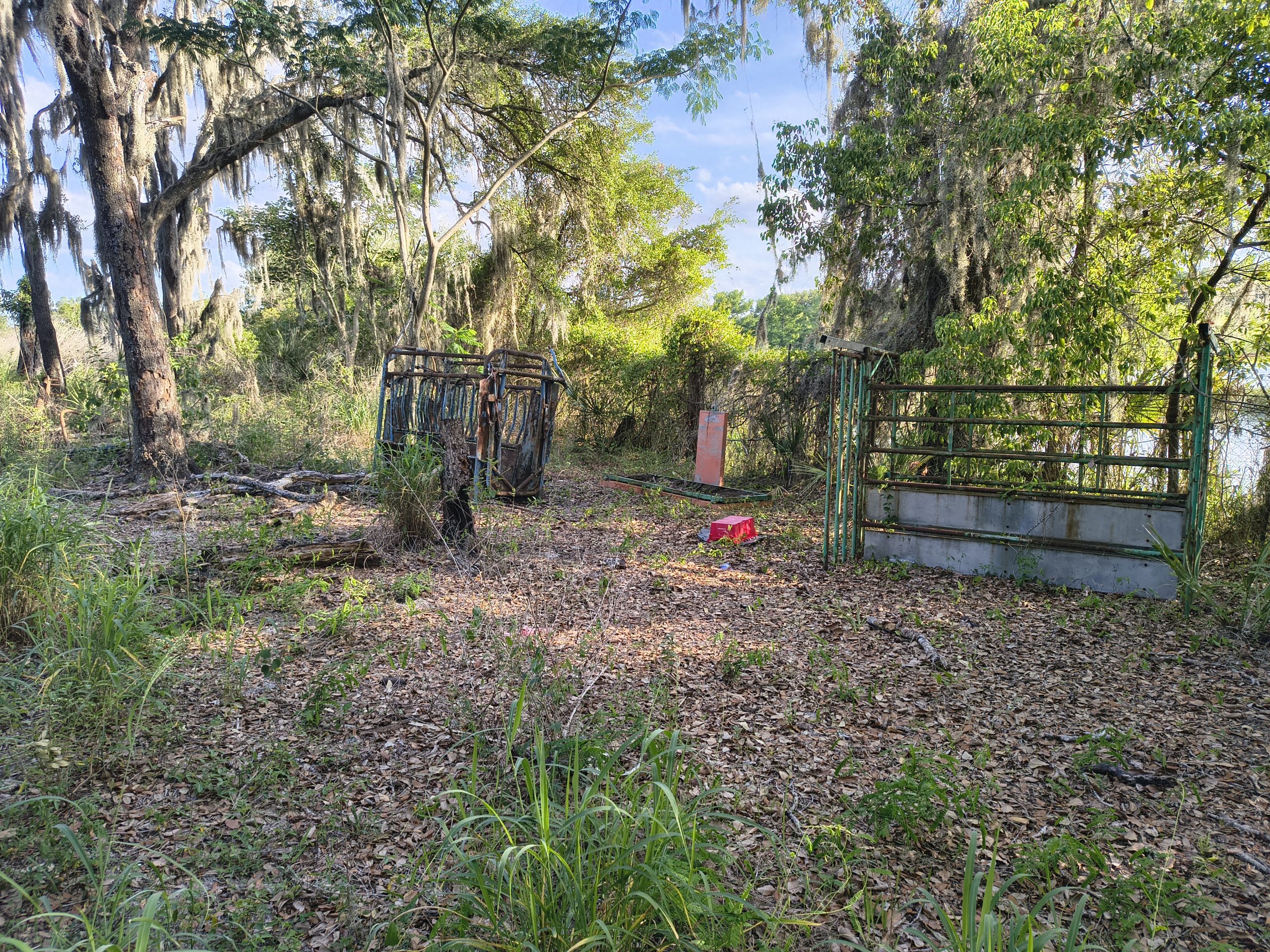 Abandoned Animal Farm/Club