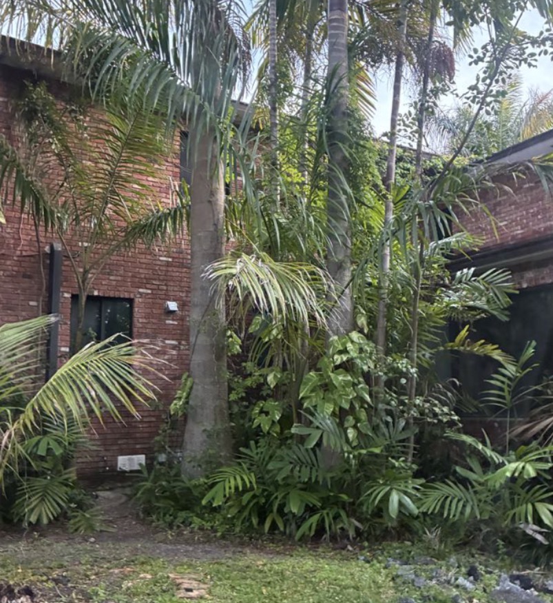 Abandoned house