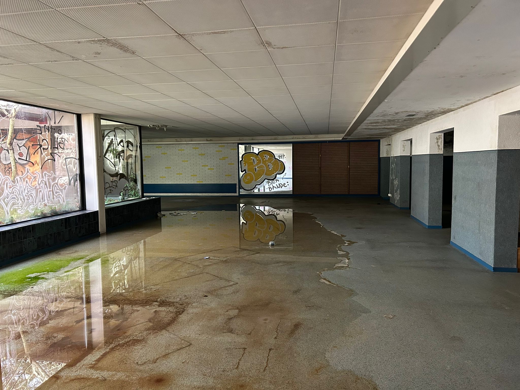 abanded weness and fittnes
