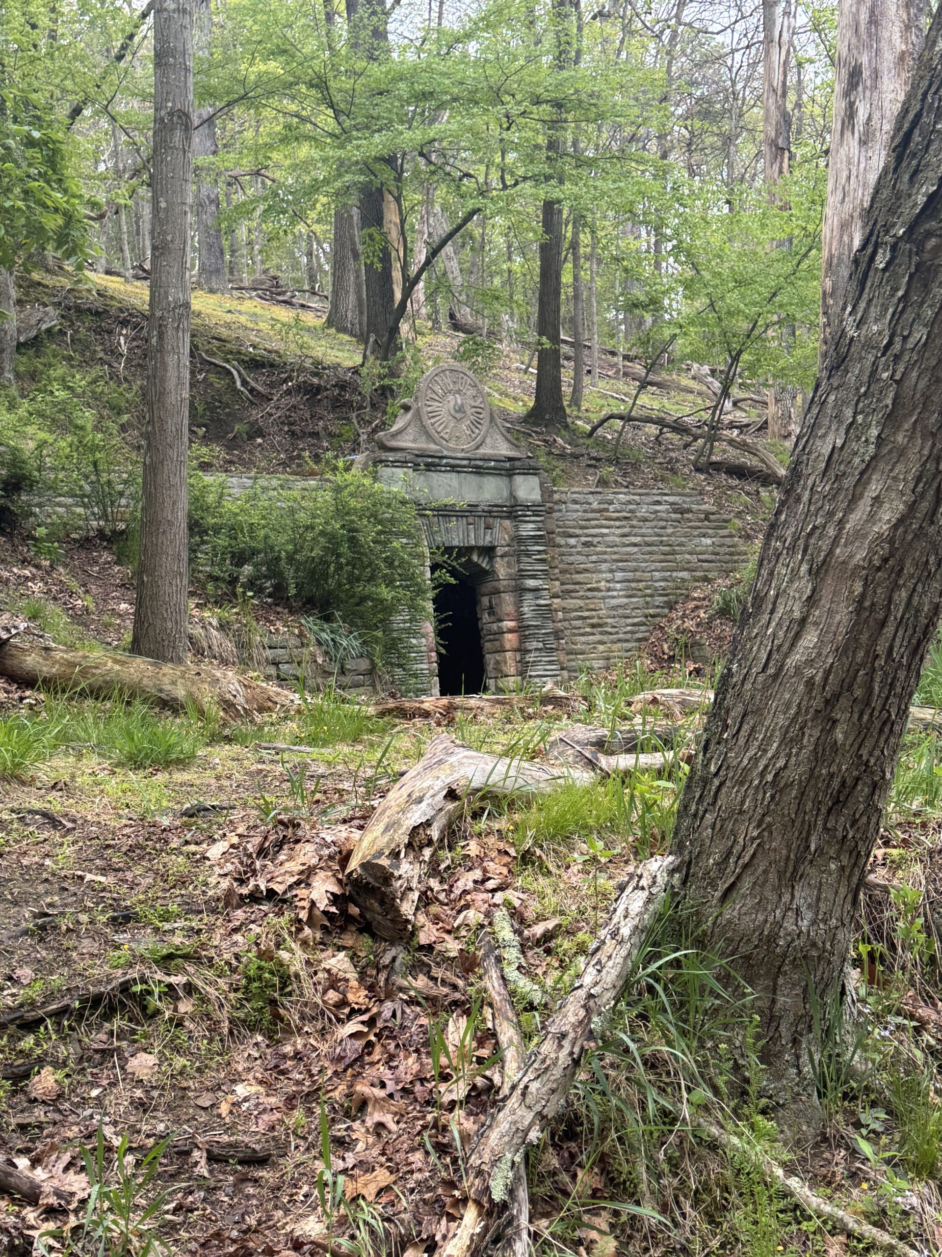 Derelict Eternal Spring