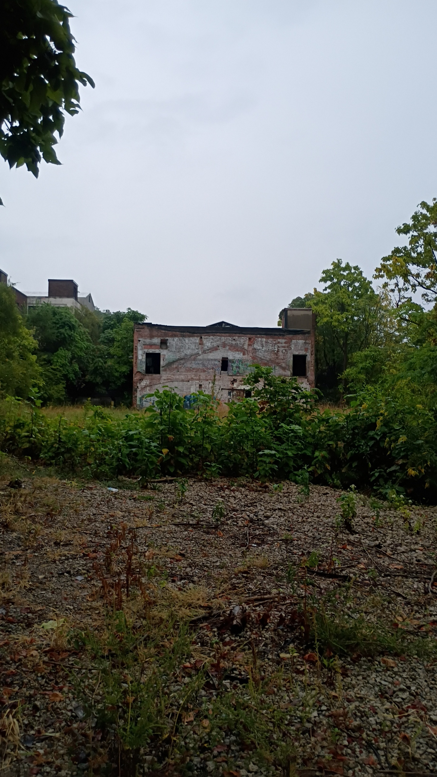 Abandoned Paint Factory