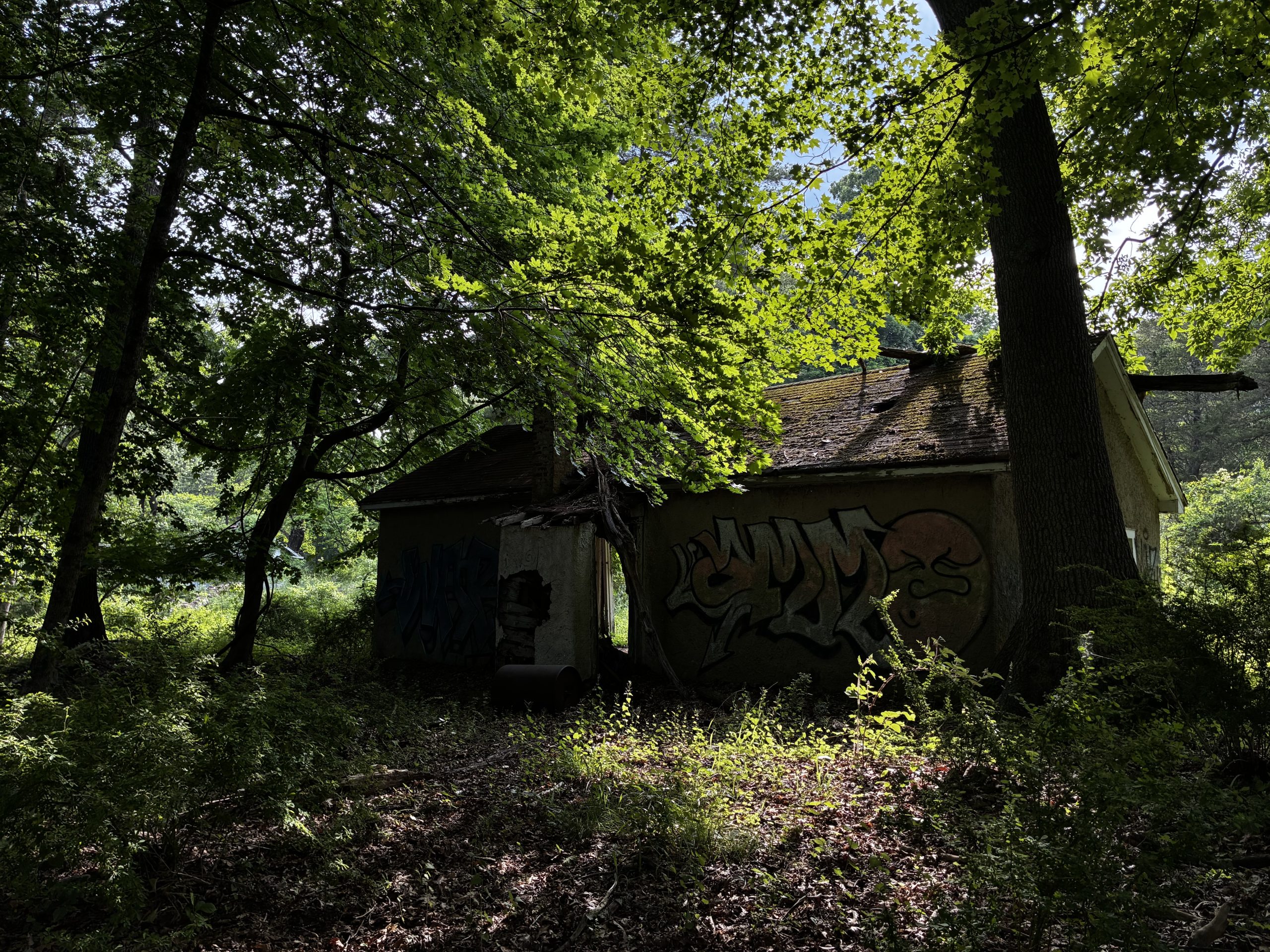 Abandon Houses