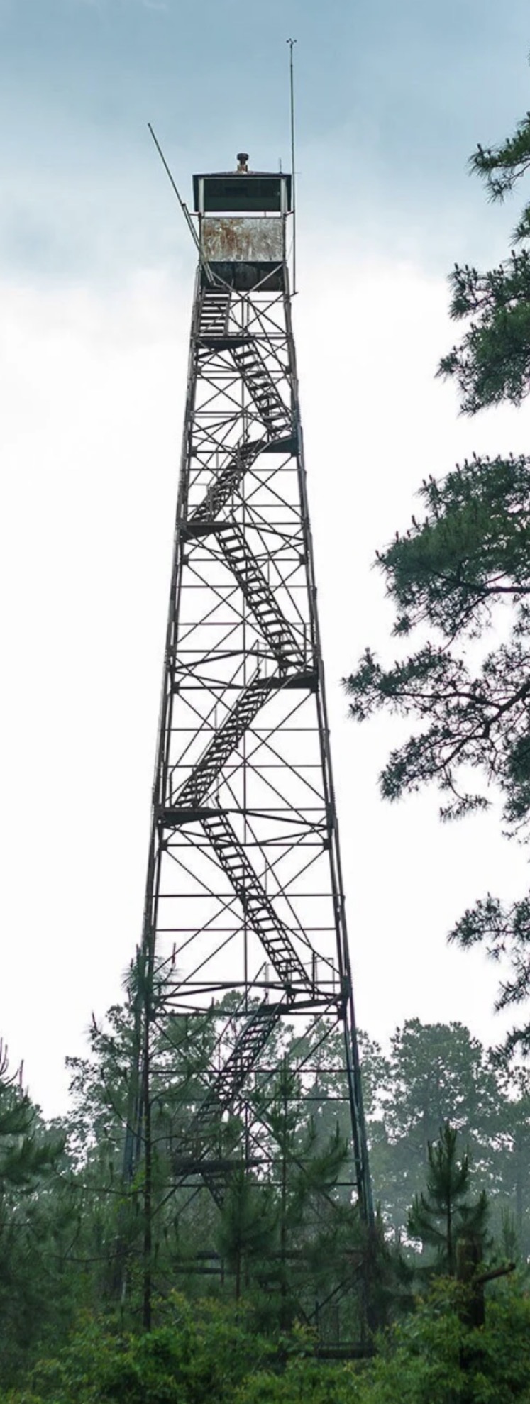 Gardner lookout tower