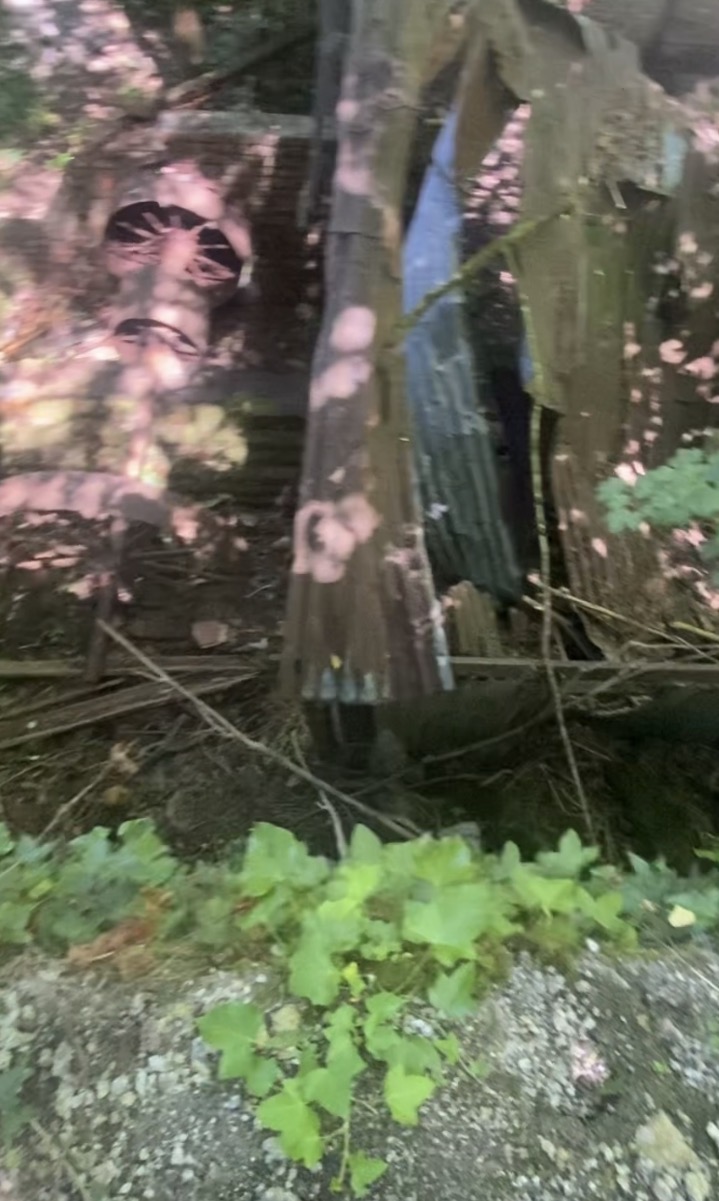 Abandoned mill